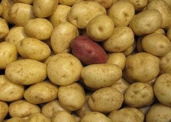 patatassassinaR375_05mar10