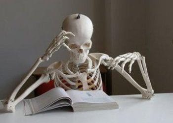 scheletroR375_04nov09