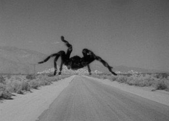 tarantulaR375_27gen09