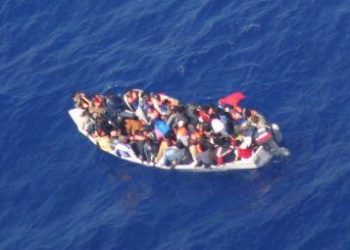 barcone_immigratiR375_24set08