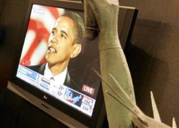 obamavideo_R375_05nov08