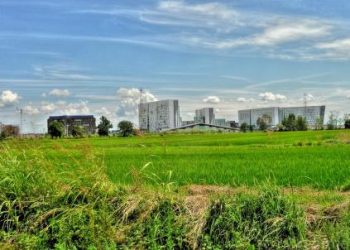 parco-sud-milano-milanofiori_R439