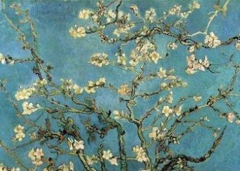 pescovangoghR375_19mar09