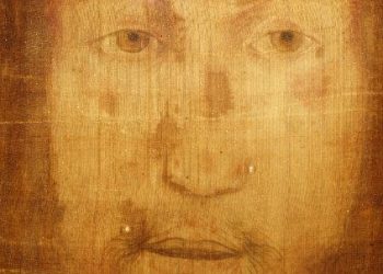 volto-manoppello_R439