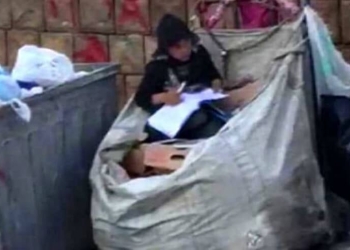 profuga-studia-cassonetti