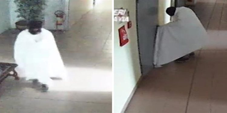 Pavia, preso ladro d'arte travestito da fantasma