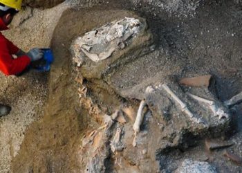 Sauro Bardato del Generale ritrovato a Pompei (foto da Twitter)