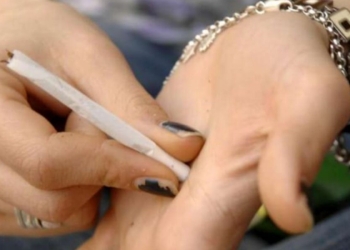 Spinello, foto da Twitter