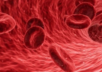 Sangue, immagini di repertorio