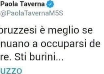 Tweet fake di Paola Taverna