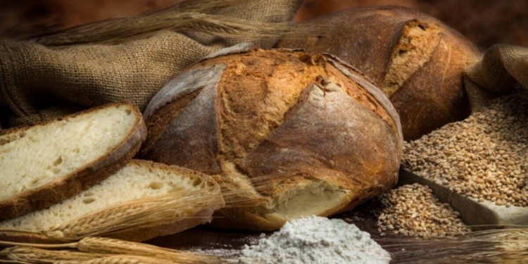 arcivescovo jurkovic