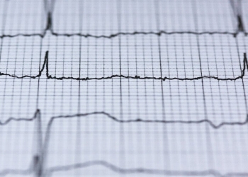 Immagine di repertorio (Pixabay)