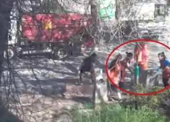 Roma, olio esausto nel tombino (foto Facebook)