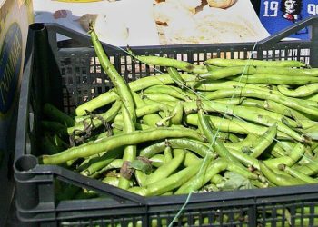 Bambino allergico alle fave (foto Lapresse)