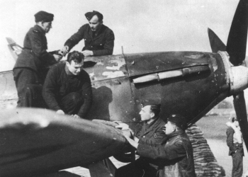 Immagine di repertorio (foto da Wikipedia, Ladislav Kudrna)