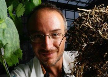 Stefano Mancuso a Ogni cosa è illuminata