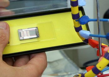 Microchip per il controllo e l'acquisizione del Dna (LaPresse)