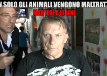 Animali maltrattati a Modena, foto Le Iene
