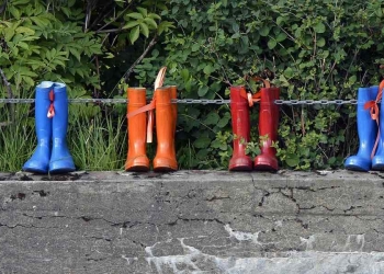 Google in onore degli stivali Wellington