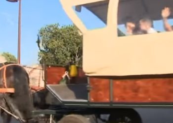 Bimbi a scuola in calesse, foto Youtube