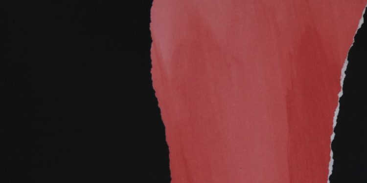 Pierantonio Verga, Come ala (1992) (particolare)