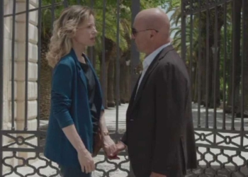 Il Commissario Montalbano