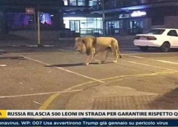 putin leoni coronavirus fake news