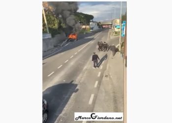 salerno uomo picchiato da 5 carabinieri