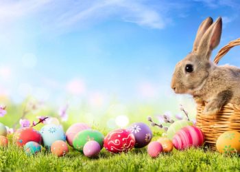 Coniglio e tante uova, Pasqua 2022