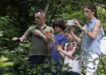 Vincitori Nastri d'argento