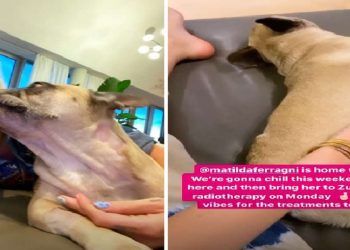Chiara Ferragni e la cagnolina Mati