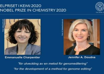 Nobel per la chimica 2020