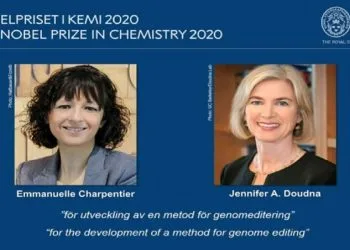 Nobel per la chimica 2020