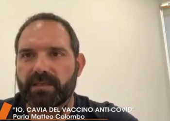 cavia vaccino coronavirus