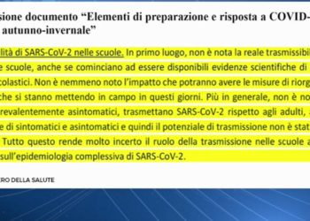 "I documenti ignorati da Azzolina"