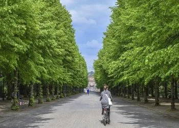 Piano forestazione urbana
