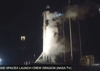 Crew Dragon di Elon Musk (Youtube)