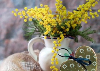 Mimose, Festa della Donna 2021 (Foto: Pixabay)