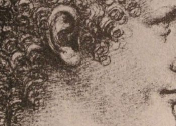 Salaì in un presunto ritratto di Leonardo da Vinci