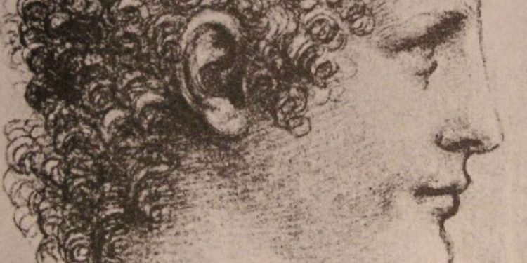 Salaì in un presunto ritratto di Leonardo da Vinci