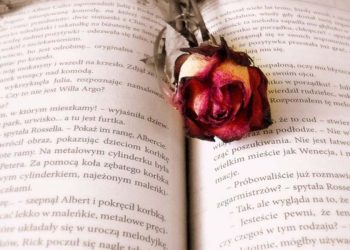 Giornata mondiale del libro 2021, foto Pixabay