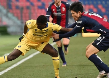 Diretta Verona Bologna, Serie A 37^ giornata (Foto LaPresse)