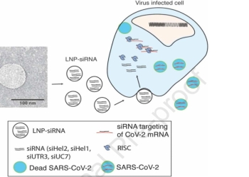 Covid, in arrivo farmaco antivirale (Molecular Therapy)
