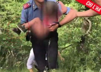 Nicola Tanturli, Chi l'ha visto