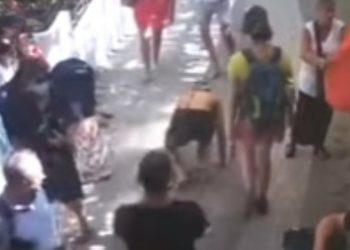 Uomo al guinzaglio come un cane a Positano (foto: YouTube)