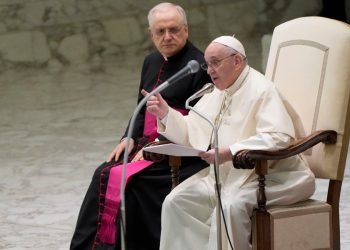 Papa Francesco, Udienza