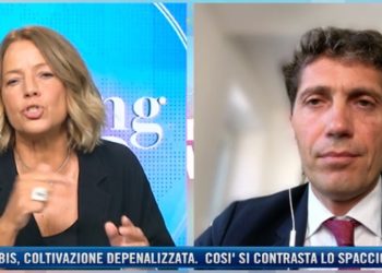 gardini magi cannabis