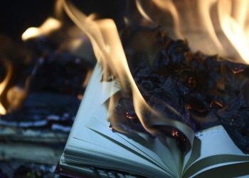 Foto di Rafael Juárez da Pixabay