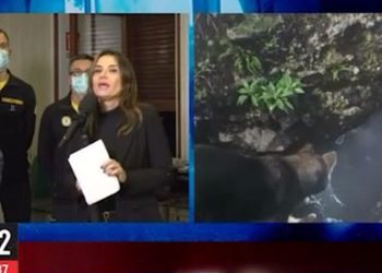 Catania, cadavere di 40 anni fa in grotta Etna, Chi l'ha visto