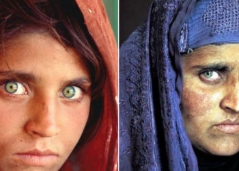 sharbat gula